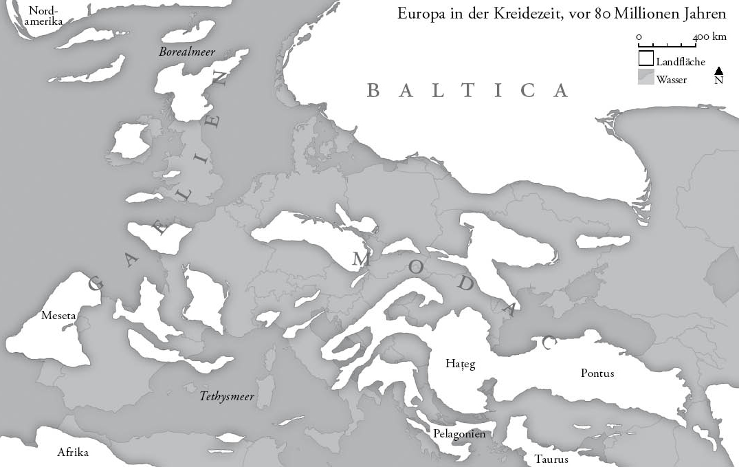 img_17822_01_034_Flannery_Europa_bt_u75c35