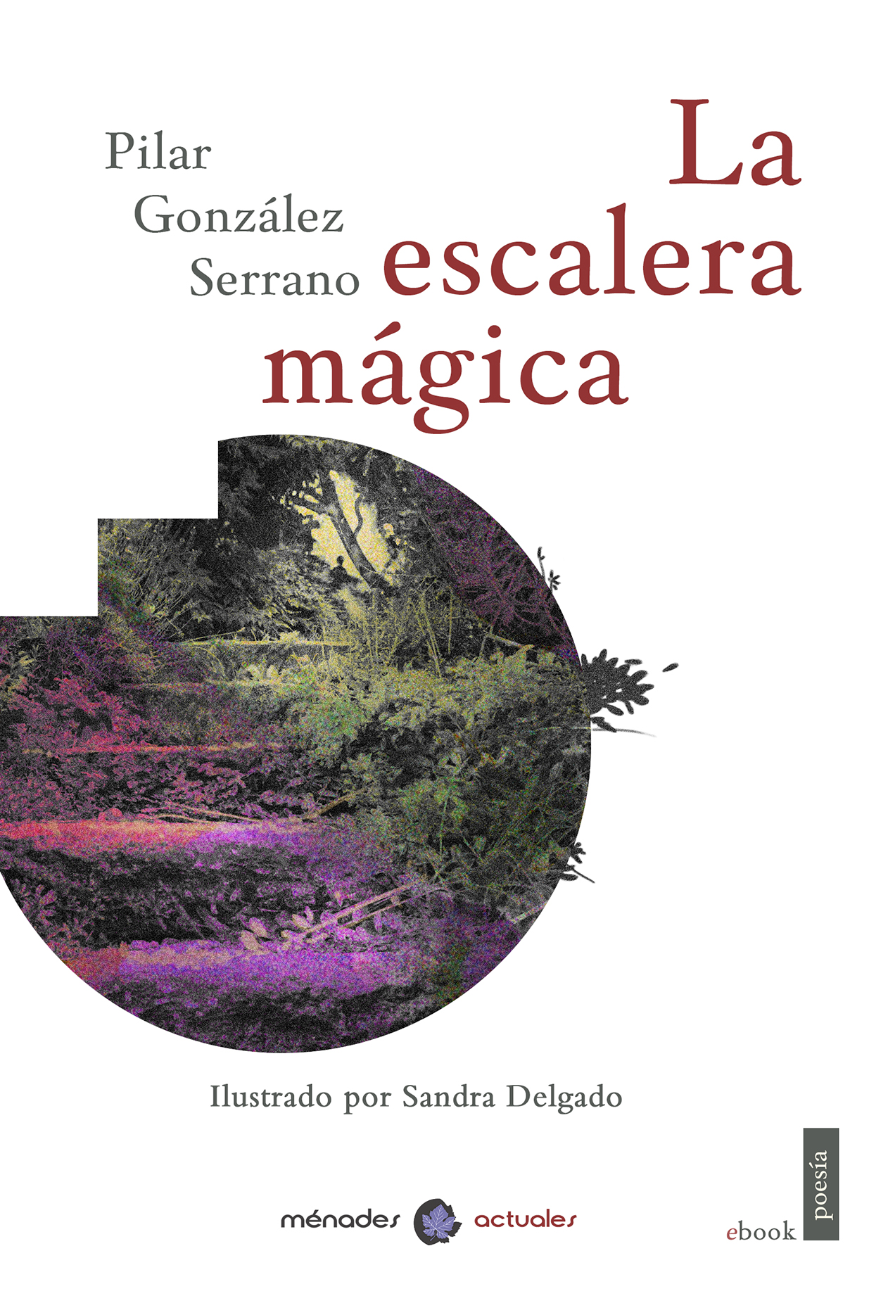 la_escalera_magica_ebook.jpg