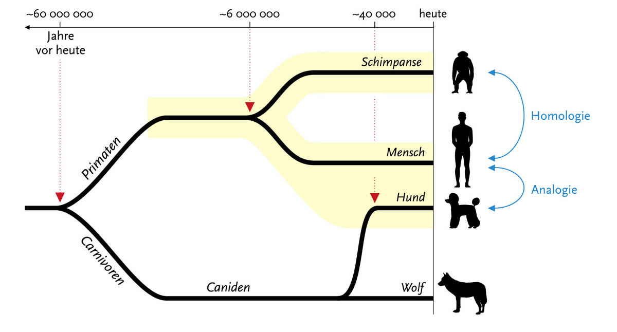 image/Grafik1.jpg