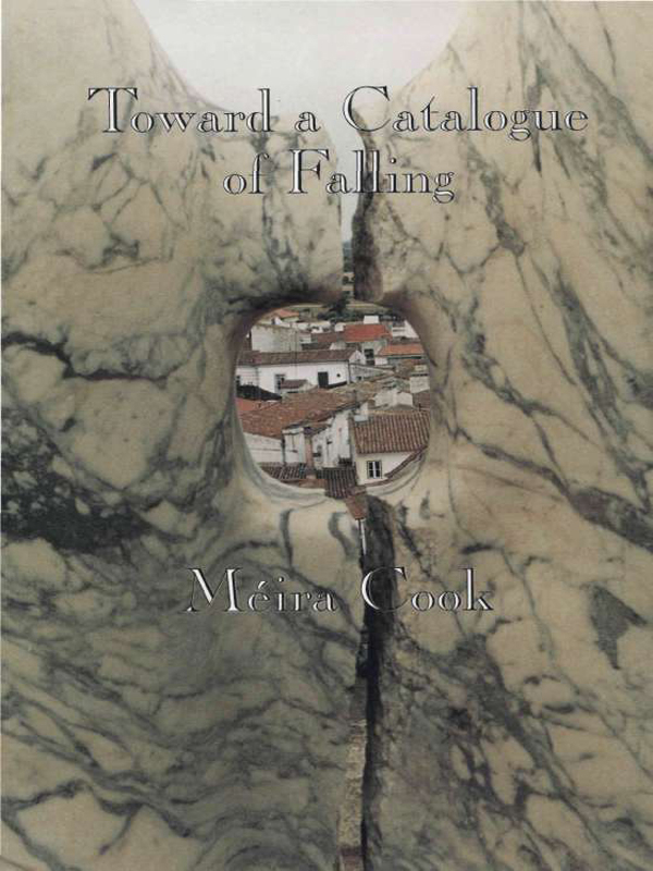 TowardaCatalogueofFalling_0001