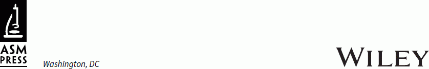 No alt text required.