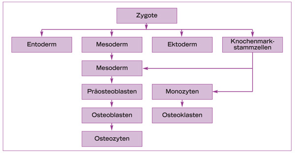 Khoury_fig002.jpg