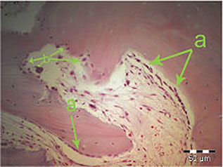 Khoury_fig003b.jpg