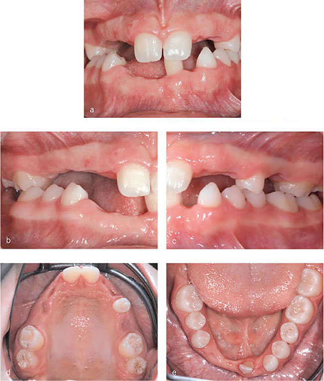 Khoury_fig007.jpg