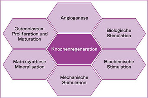 Khoury_fig010.jpg