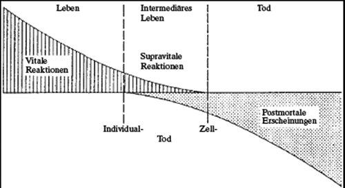 kein Alternativtext verfügbar