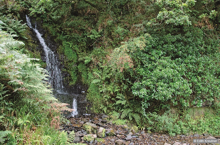 Hollow Brook Waterfall