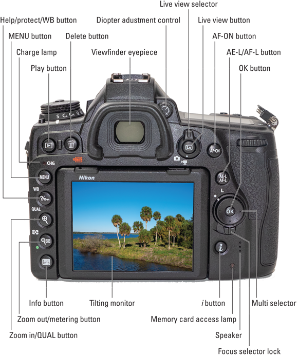 Image depicting the controls on the back of a Nikon D780 camera to capture images or movies using live view, access the camera menu, and compose pictures.