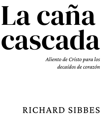 Texto
Descripción generada automáticamente