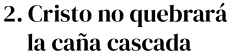 Imagen que contiene Texto
Descripción generada automáticamente