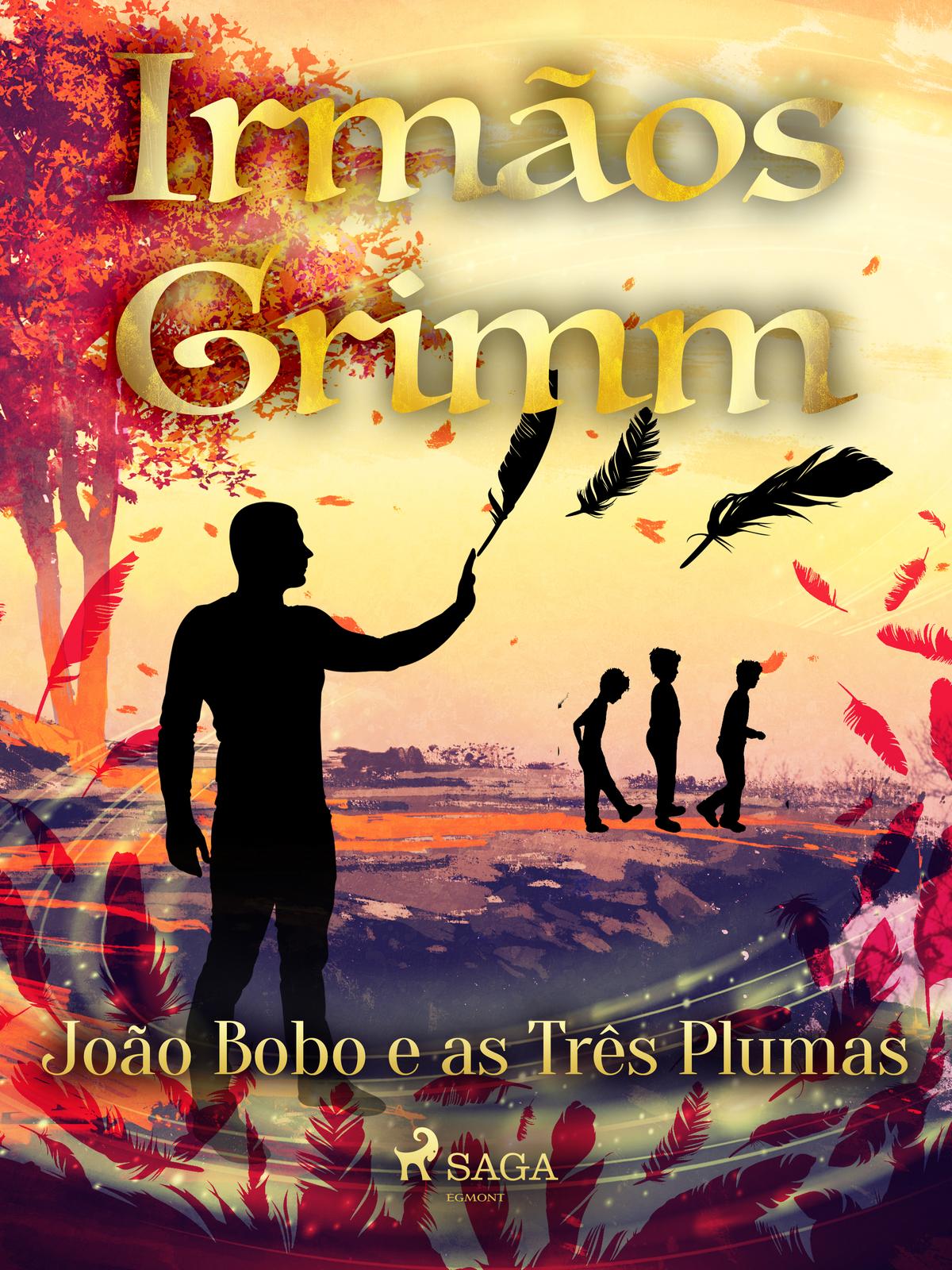 Cover: João Bobo e as Três Plumas by  Irmãos Grimm