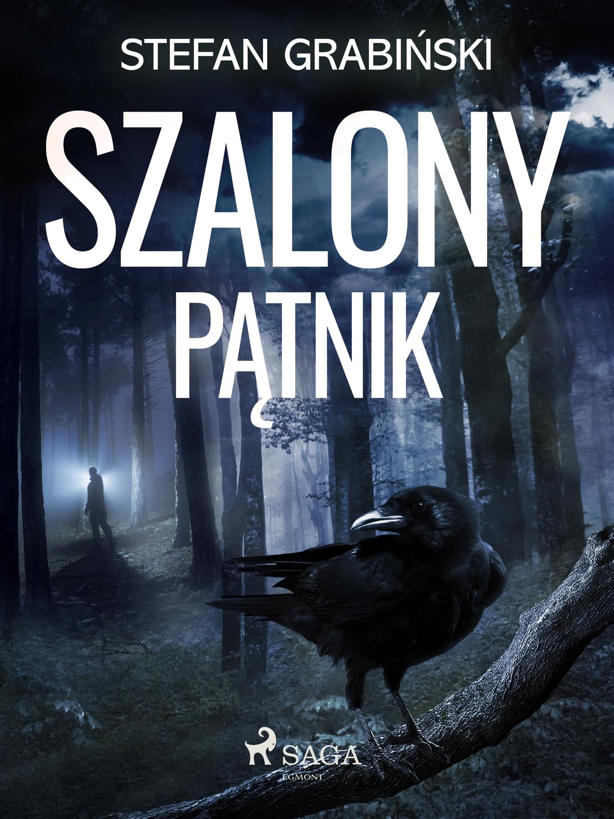 Cover: Szalony pątnik by Stefan Grabiński