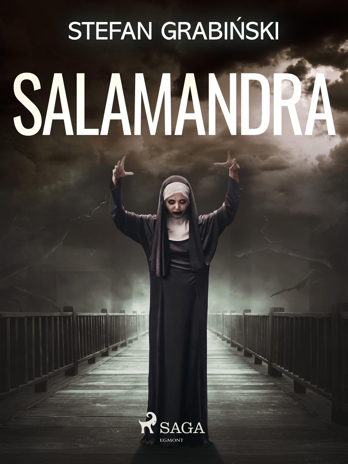 Cover: Salamandra by Stefan Grabiński